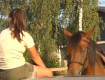 Иппотерапия - лечение лошадьми на Закарпатье