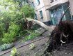 На Закарпатье надвигается ураган, возможны разрушения