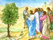 В Великий понедельник Иисус проклял дерево смоковницы (инжира)