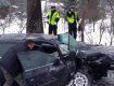 В Польше лоб в лоб столкнулись две иномарки Audi и Honda