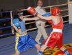 В городе Иршава состоится турнир по боксу среди детей и юношей