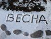 Погодні сервіси прогнозують Україні похолодання та сніг