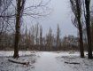 В Боздошском парке проходит санитарная вырубка деревьев?