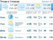 В Ужгороде облачная погода продержится весь день, без осадков