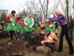 10 апреля каждый желающий сможет посадить свое дерево в Ужгороде