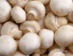 Самым большим «накопителем» витамина D являются грибы