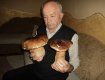 В лесу пенсионер из Иршавы нашел два гигантских гриба