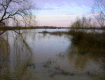 В Закарпатье уровень воды на реках Тиса и Латорица пока повышается
