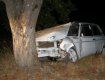 На дороге Мукачево-Львов водитель ВАЗа "проверил" дерево