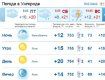 Ясная погода в Ужгороде продержится весь день, без осадков