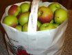 В Ужгороде продают золотые яблоки, - не всем по зубам