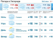 В Ужгороде днем погода будет пасмурной, мелкий дождь