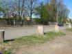 В Ужгороде улицу Капушанскую «украшают» лишь пни деревьев