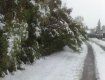 В Польше снег и ураганный ветер оставили без электричества 100 тысяч человек