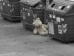 Во Львове на мусорке нашли изнасилованную девушку