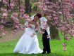 Объявлен конкурс на лучшее свадебное фото в Ужгородском замке