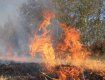 МЧС Закарпатья предупреждает об опасности пожаров в лесной зоне