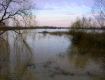 На большинстве реках Закарпатья уровень воды уже поднялся на 1-1,5 м