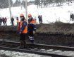 Грузовой поезд сошел в рельсов в Красноярском крае
