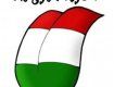 Закарпатцы изучают чаще венгерский язык, чем английски