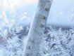 Рождественские морозы в Закарпатье побили 70-летний рекорд