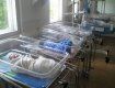 Сколько стоит рождение ребенка на Закарпатье? - $500 плюс затраты на лекарства