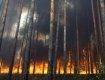В Береговском районе уже четвертый день горит лес