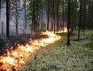 На Закарпатье объявили "наивысшую" пожарную опасность
