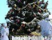 В центре Ужгорода торжественно зажгут огни новогодней елки