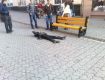В центре Ужгорода умер человек на глазах сотни прохожих
