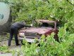 В Ужгороде дерево прямо вогнулось в крышу автомобиля