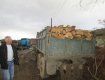 Полиция Тячева благодаря информации граждан разоблачила лесогуба