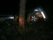 В Виноградовском районе Audi A6 совершил наезд на дерево