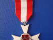 Роман Шницер получил Медаль Роберта Коха
