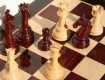 На Закарпатье новым чемпионом по шахматам стал Семен Найгебавер