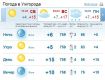 В Ужгороде на протяжении дня ясная погода, без осадков