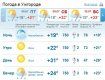 В Ужгороде весь день будет безоблачная погода, без осадков