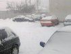 В Закарпатье целый день идет сильный снег и дует сильный ветер