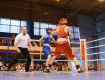Чемпионат Украины по боксу среди юношей в Ужгороде