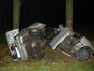 В Польше BMW на полном ходу врезался в дерево и раскололся