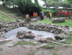 В Ужгороде резко взялись за восстановление работы фонтанов