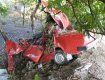 В Одесской области ВАЗ врезался в дерево: погибло 3 человека