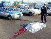 В Свалявском районе авто сбило насмерть 80-летнего пешехода