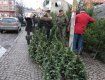 На Закарпатье расстреляли торговцев новогодними елками