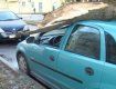 В Ужгороде дерево разбило автомобиль «Skoda Fabia»