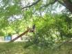 В Ужгородском районе на мужика совершенно неожиданно упала огромная ветка
