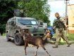 Продолжается поиск бойцов "ПС", причастных к перестрелке в Мукачево