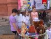Сегодня ужгородские дети попробовали себя в роли волонтеров