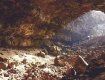 Ученые нашли новый вид животного в пещерах Туркменистана