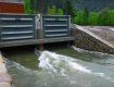 Як у горах Закарпаття з води добувають електроенергію